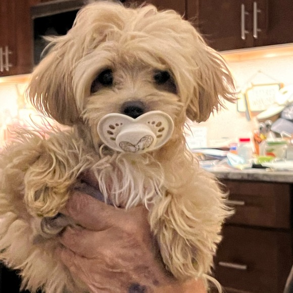 WELCOME - Picture 10 of 12